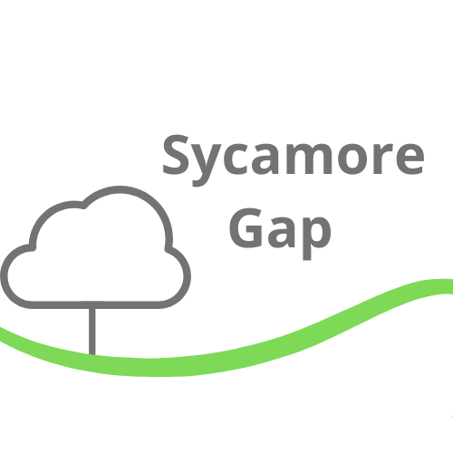 Sycamore Gap PMO solution