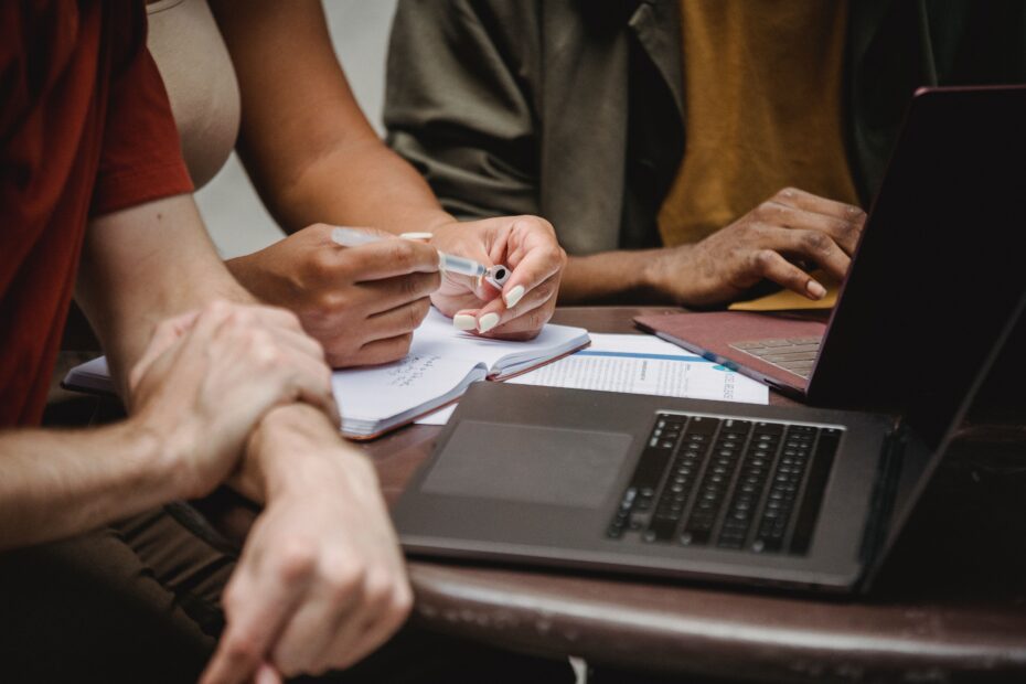 Project portfolio management challenges Sycamore Gap PMO